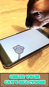 Mouse for Cat screenshot 1