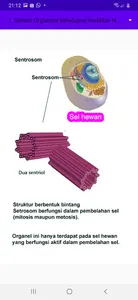 Organisasi Kehidupan screenshot 0
