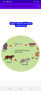 Organisasi Kehidupan screenshot 1
