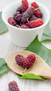Mulberry Wallpaper screenshot 2