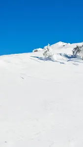 Snowshoeing Wallpaper screenshot 3