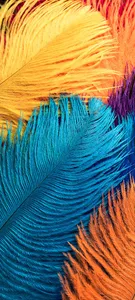 HD Wallpapers screenshot 3