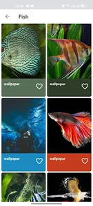 Wallpepars screenshot 1
