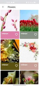 Wallpepars screenshot 4