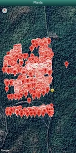 Floral Safari screenshot 4