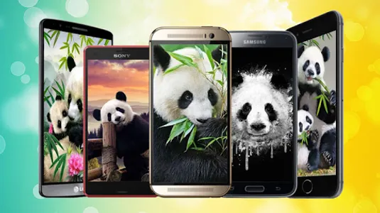 Panda Wallpaper screenshot 0