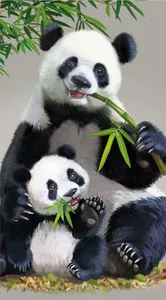 Panda Wallpaper screenshot 5