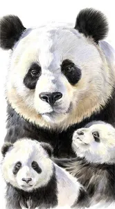 Panda Wallpaper screenshot 7