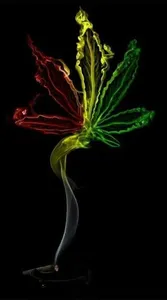 Reggae Wallpaper screenshot 4
