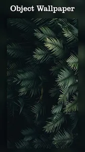 4K Wallpaper - HD Themes screenshot 2