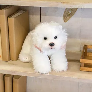 Bichon frise Dog Wallpapers screenshot 6