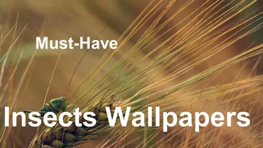 Stunning Insects Wallpapers +  screenshot 0