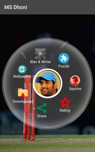 MSDhoni Wallpapers-puzzle screenshot 0