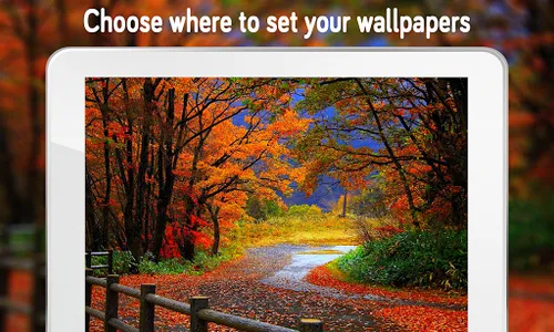Nature Wallpaper (4k) screenshot 10