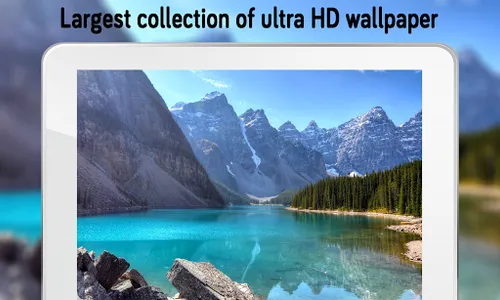 Nature Wallpaper (4k) screenshot 11