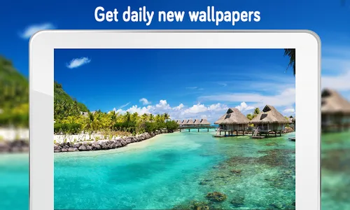 Nature Wallpaper (4k) screenshot 12
