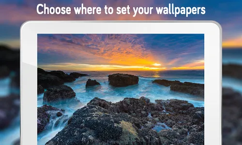 Nature Wallpaper (4k) screenshot 13