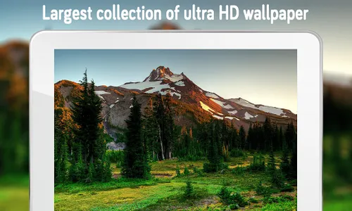 Nature Wallpaper (4k) screenshot 15