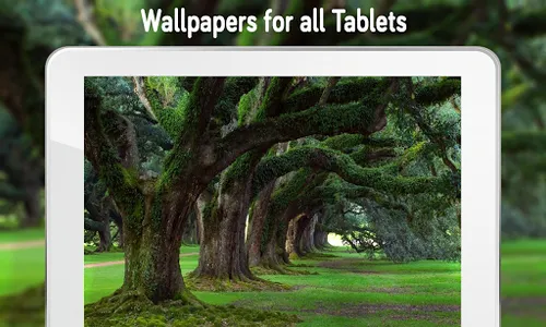 Nature Wallpaper (4k) screenshot 6