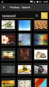 Pic Search screenshot 1