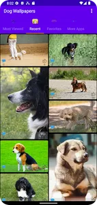 Dogs Wallpaper Backgrounds screenshot 0