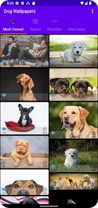 Dogs Wallpaper Backgrounds screenshot 22