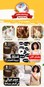 تربية الفراخ في المنزل screenshot 0