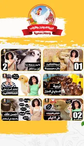 تربية الفراخ في المنزل screenshot 1