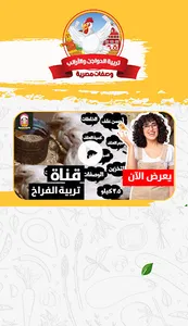 تربية الفراخ في المنزل screenshot 2