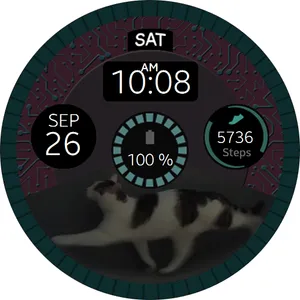 Cat Wheel Watch Face screenshot 6