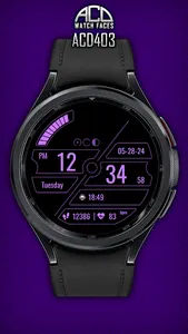 ACD403 Wireframe screenshot 6