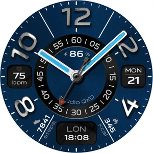 Chrome Ring Watch Face screenshot 16