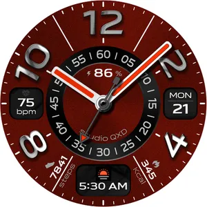 Chrome Ring Watch Face screenshot 17
