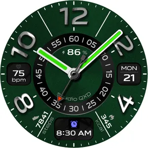 Chrome Ring Watch Face screenshot 18