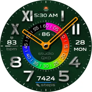 Chrome Ring Hue Watch Face screenshot 18