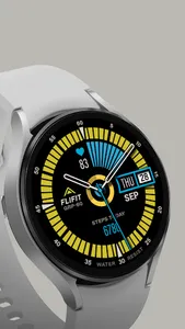GRP-60 screenshot 10