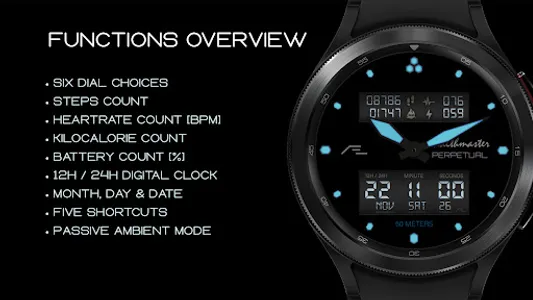 AE HEALTHMASTER [PERPETUAL] screenshot 7