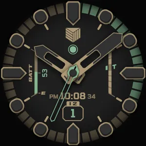 IWF DM1 watchface screenshot 21