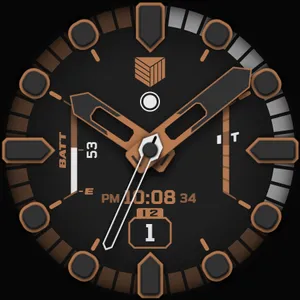 IWF DM1 watchface screenshot 25