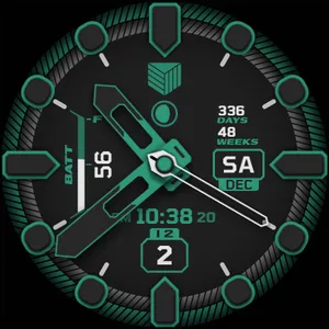 IWF DM2 watchface screenshot 20