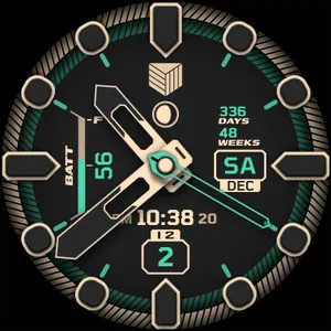 IWF DM2 watchface screenshot 21