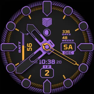 IWF DM2 watchface screenshot 24