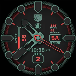 IWF DM2 watchface screenshot 25