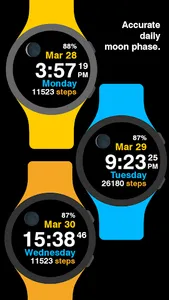 Moon Steps Watch Face screenshot 12