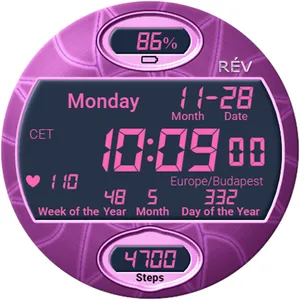 Rev001 Digital Watch Face screenshot 14