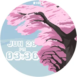 OniOn watchface 02 Pixel screenshot 14