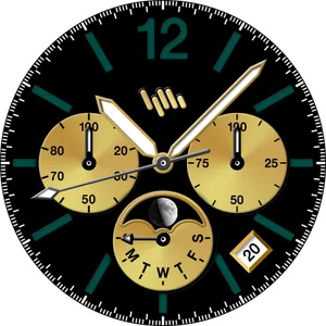 SamWatch Steelo Series 3 2021 screenshot 7