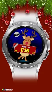 Tancha Dasher Christmas screenshot 6