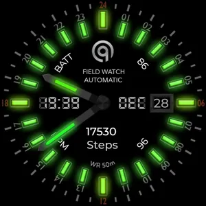 24h Analog Field Watch Wear OS screenshot 33
