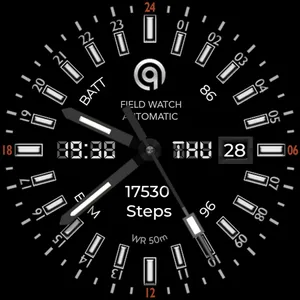 24h Analog Field Watch Wear OS screenshot 34